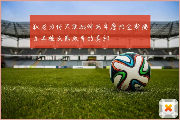 狄龙为何只敢挑衅老年詹帕金斯揭示其被灰熊放弃的真相